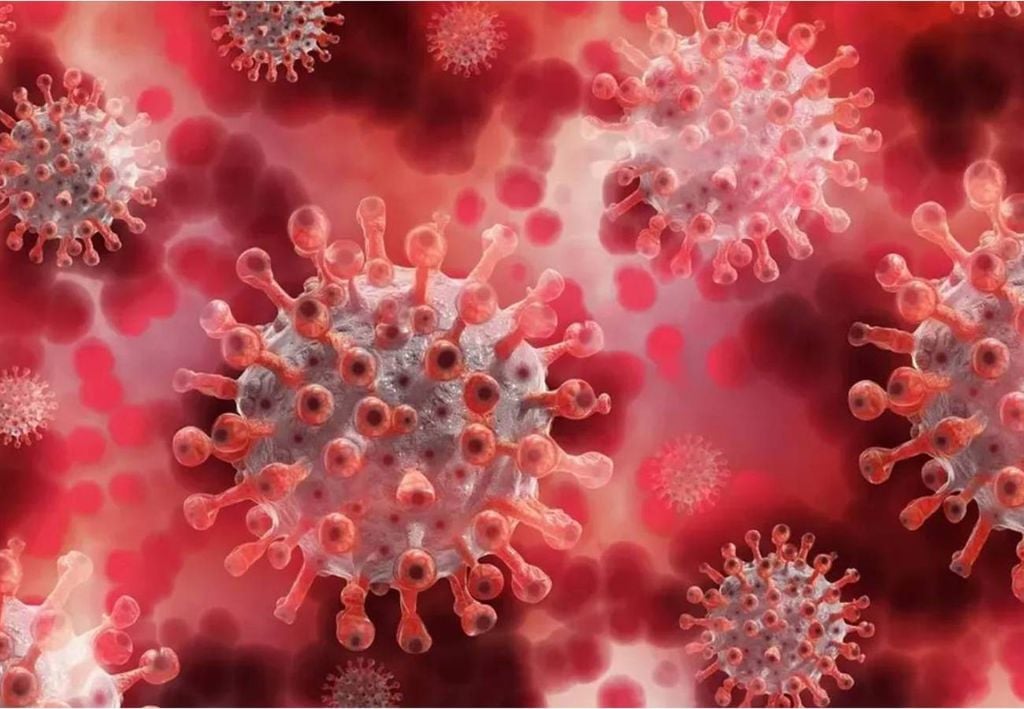 coronavirus, representación