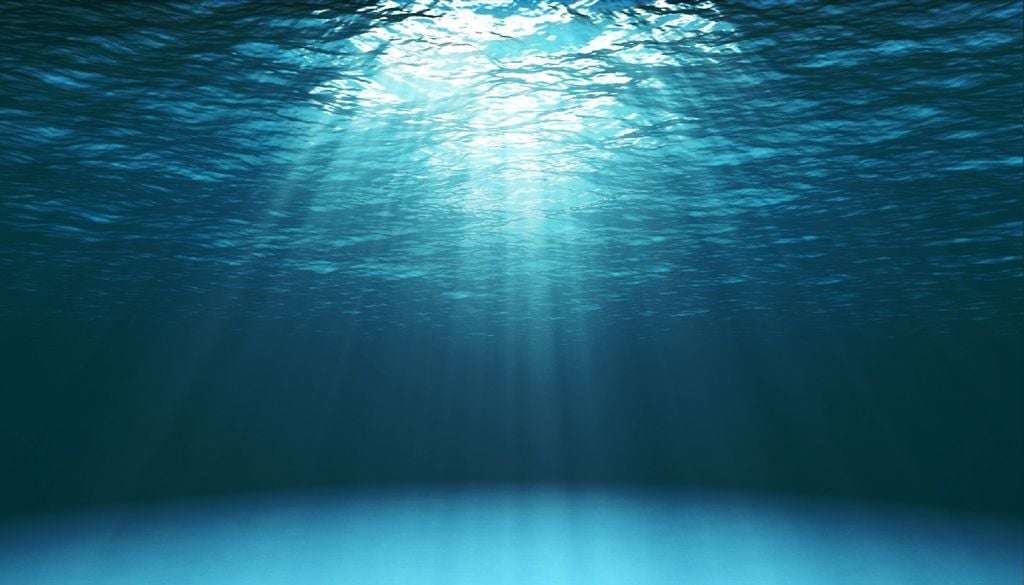 Oceano Os tubarões recolhem dados do oceano em zonas onde os dados observacionais são escassos