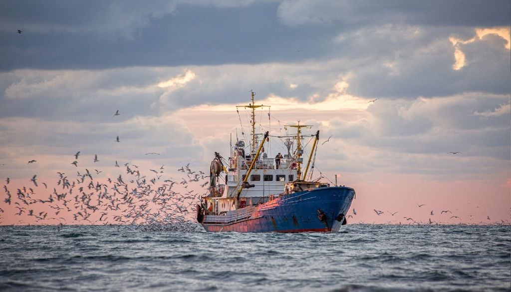 Pescas As previsões oceânicas precisas são cruciais para diferentes áreas, nomeadamente para a gestão da pesca