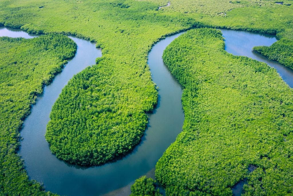 Floresta amazónica, Brasil