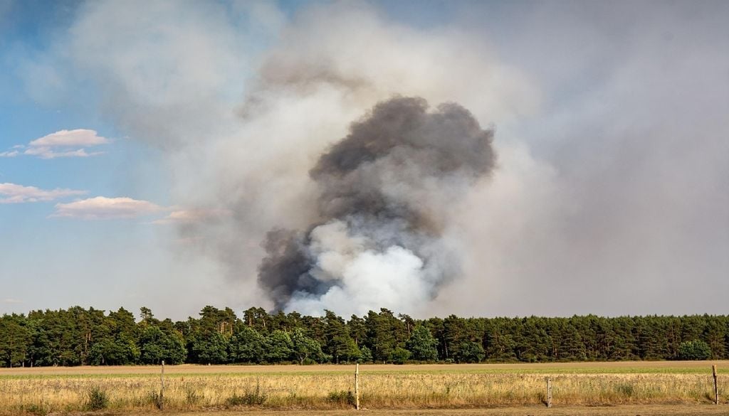 Incêndio florestal (coluna de fumo) Ao contrário dos modelos tradicionais, que apenas avaliavam o risco de incêndio florestal com base na matéria orgânica morta, a nova abordagem analisa também o grau de humidade das plantas vivas. Foto: Seaq68/Pixabay
