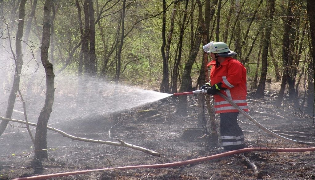 Bombeiro atua no rescaldo de incêndio florestal Com humidade inferior a 80%, o stress hídrico crítico acelera o fogo nas copas. O sistema também avalia o mato para alertar as equipas de bombeiros. Foto: Beeki/Pixabay