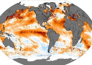 Il nuovo modello computerizzato dell’NCAR prevede un Super El Niño per la prossima estate