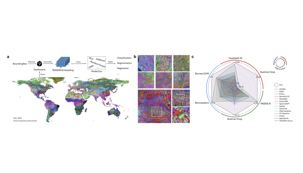 Por utilizar embeddings pré-treinados, o Tessera já incorpora informações aprendidas a partir de anos de observações da Terra, reduzindo a necessidade de treinar novos modelos do zero. Crédito: Feng et al. Por utilizar embeddings pré-treinados, o Tessera já incorpora informações aprendidas a partir de anos de observações da Terra, reduzindo a necessidade de treinar novos modelos do zero. Crédito: Feng et al.