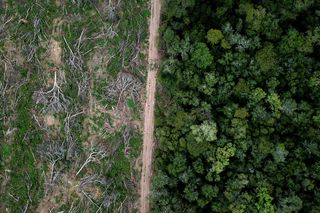 Novo recorde de desmatamento na Amazônia é registrado