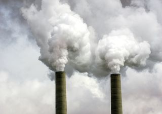 Novo recorde nas concentrações de gases com efeito de estufa em 2020