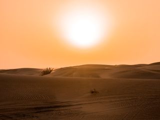 Novos recordes de temperatura registados no planeta