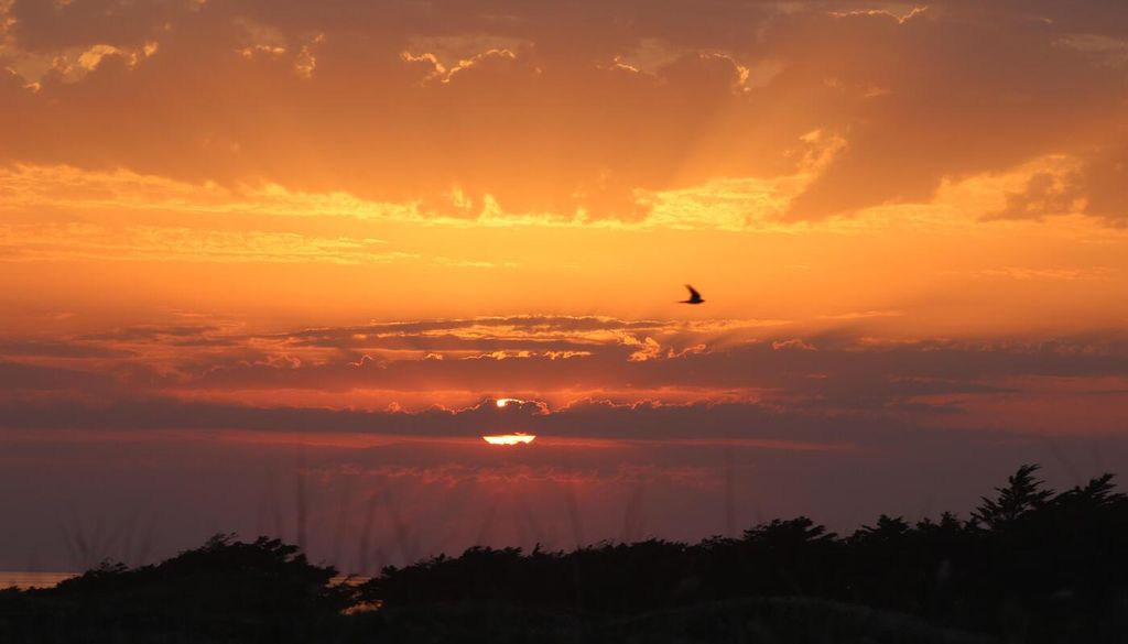 Des nuages observables une heure ou deux après le coucher du soleil Des nuages observables une heure ou deux après le coucher du soleil
