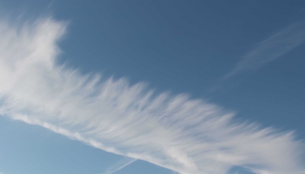 Nubes homomutatus Las nubes homomutatus surgen cuando estelas de aviones se expanden y transforman totalmente por el viento, adquiriendo un aspecto cirriforme natural como el Cirrus floccus. Fotografía: George Anderson/OMM.