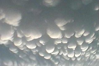 Nubes mammatus