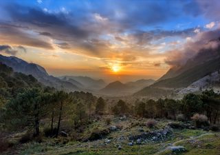 Nubes menos densas se vuelven más frecuentes en áreas deforestadas de bosque