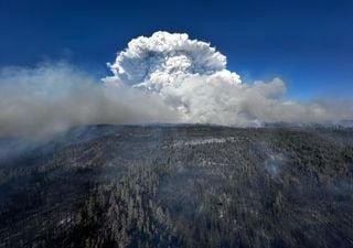 Nubes que se alimentan de fuego: se forman por grandes incendios forestales con rayos que llegan alto a la atmósfera