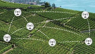 Nubes virtuales y viñedos