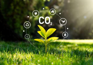 Nuestra marca en el mundo ¿Qué es la huella de carbono y dónde se puede medir? 