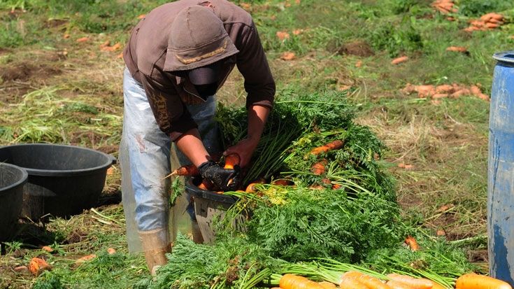Un agricultor en Chimaltenango, Guatemala.