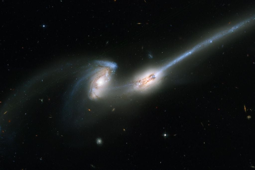 Galaxias espirales en colisión conocidas como "Los Ratones" debido a las largas colas de estrellas y gas que emanan de cada galaxia. Crédito: NASA, ACS y ESA.