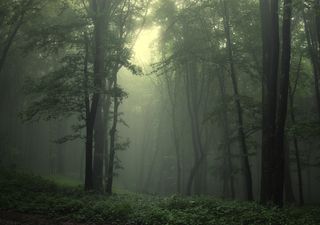 ¡Nuestros mapas confirman abundantes lluvias en junio! Sistemas tropicales traerán a México fuertes tormentas