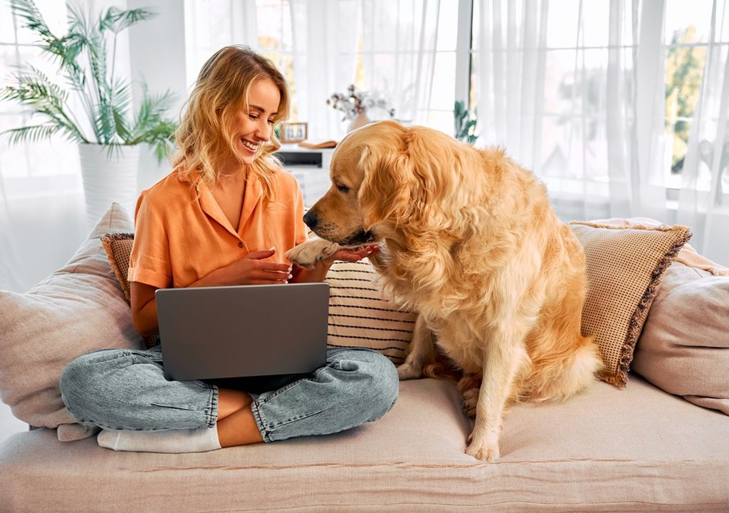 Nuestros perros también se vieron afectados por la pandemia, un estudio revela cómo nuestro estrés influyó en ellos