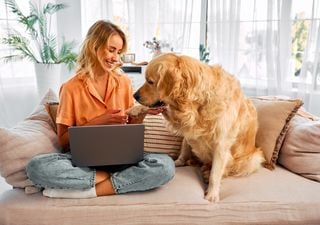 Nuestros perros también se vieron afectados por la pandemia, un estudio revela cómo nuestro estrés influyó en ellos 