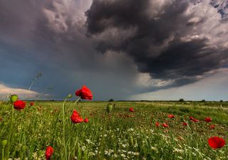 Actualiza el modelo de referencia de Meteored: ¿llegarán lluvias importantes a España durante el mes de abril?