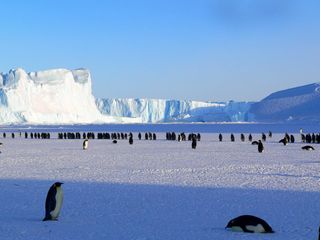 Nueva causa del derretimiento de las plataformas antárticas de hielo