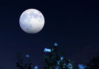 Un événement à ne pas manquer, la super lune aux fraises est là !