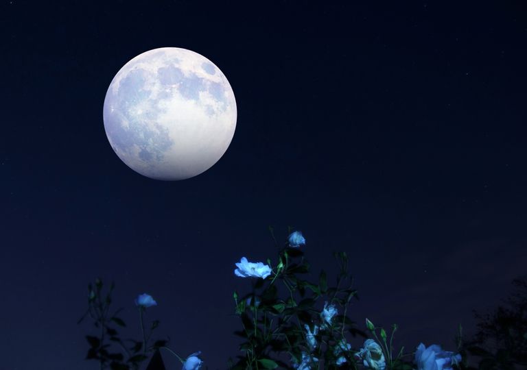 Un evento que no te puedes perder, ¡llega la superluna de fresa! Un evento que no te puedes perder, ¡llega la superluna de fresa!