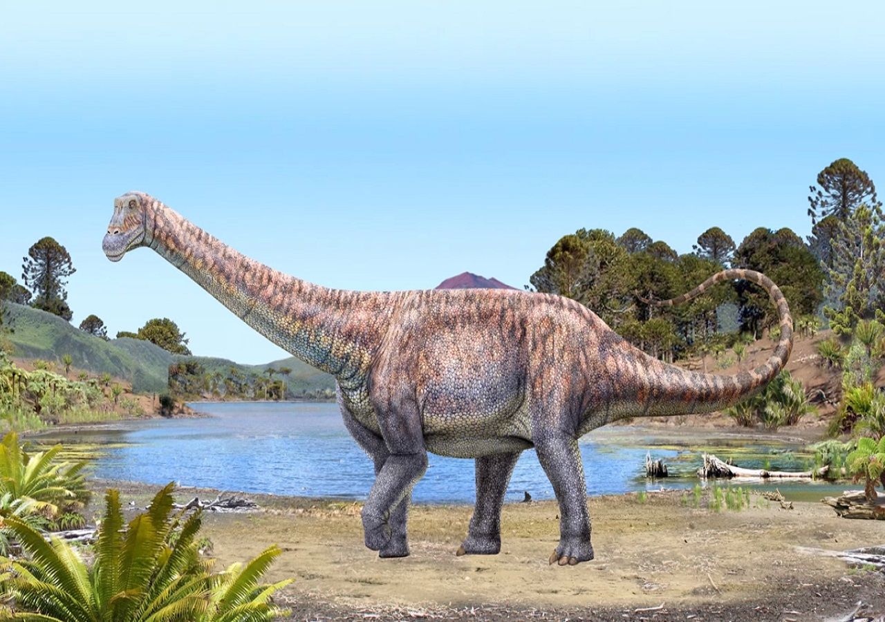 фото самого большого динозавра