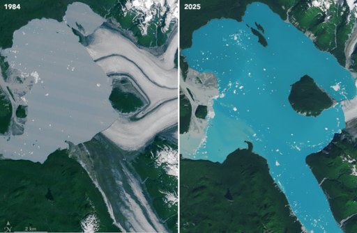 Una nueva isla ha aparecido en Alaska donde el agua ha reemplazado al hielo y a la nieve