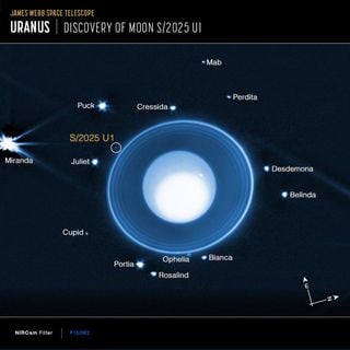 Una nueva y pequeña luna ha sido descubierta alrededor de Urano y ya son 29 las lunas del lejano planeta