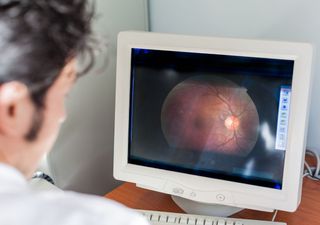 Nueva luz a la pérdida de visión: revelan mecanismo que ayudaría a la reparación celular de la retina en humanos