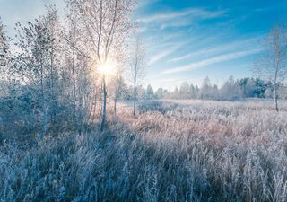 Nueva masa de aire polar llegará a territorio mexicano