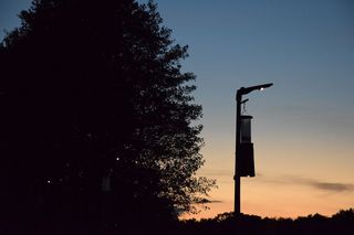 Los científicos desarrollan nuevas luces de carreteras que son respetuosas con los insectos reduciendo su mortalidad