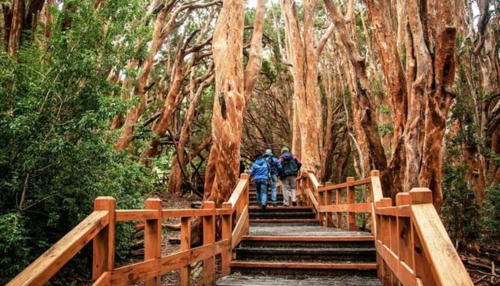 Parque Nacional Los Arrayanes
