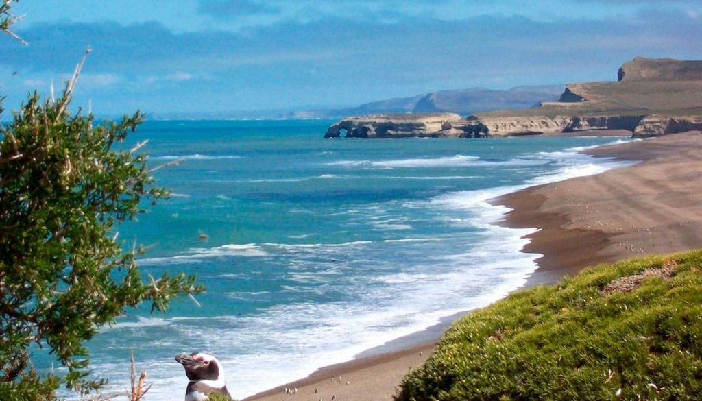 Parque Nacional Monte León