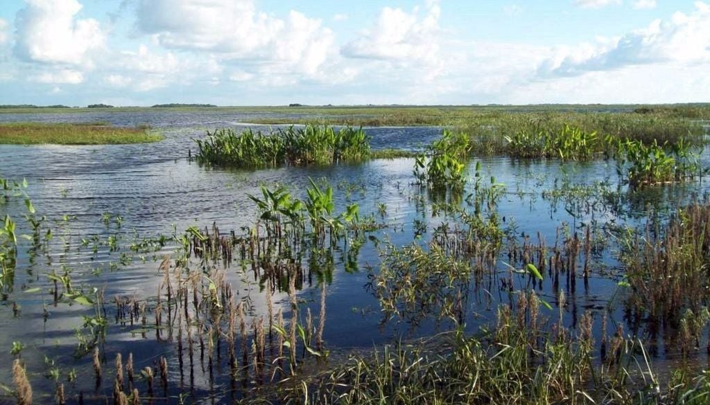 Parque Nacional Mburucuyá