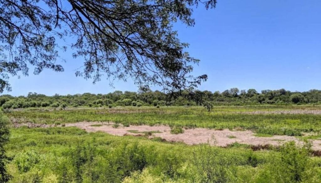 Parque Nacional Chaco