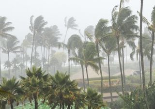 Amenaza de nuevo ciclón tropical en México