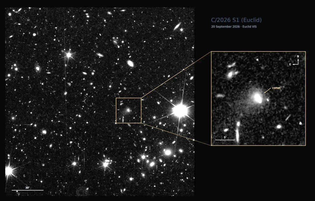 El cometa C/2026 S1 (Euclid) fue captado el 20 de septiembre de 2026 durante las observaciones del Euclid Deep Field North. La imagen corresponde a una exposición de 560,52 segundos, durante la cual el cometa aparece como una estela debido a su movimiento por el cielo. A su alrededor se distingue una nube difusa de polvo y gas, conocida como coma. Es el primer cometa previamente desconocido descubierto por el telescopio espacial Euclid de la ESA. Crédito: ESA/Euclid/Euclid Consortium/NASA, M. Pöntinen et al. 2026