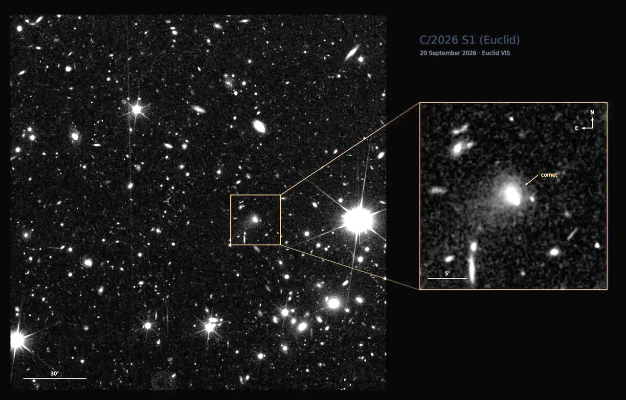 El cometa C/2026 S1 (Euclid) fue captado el 20 de septiembre de 2026 durante las observaciones del Euclid Deep Field North. La imagen corresponde a una exposición de 560,52 segundos, durante la cual el cometa aparece como una estela debido a su movimiento por el cielo. A su alrededor se distingue una nube difusa de polvo y gas, conocida como coma. Es el primer cometa previamente desconocido descubierto por el telescopio espacial Euclid de la ESA. Crédito: ESA/Euclid/Euclid Consortium/NASA, M. Pöntinen et al. 2026