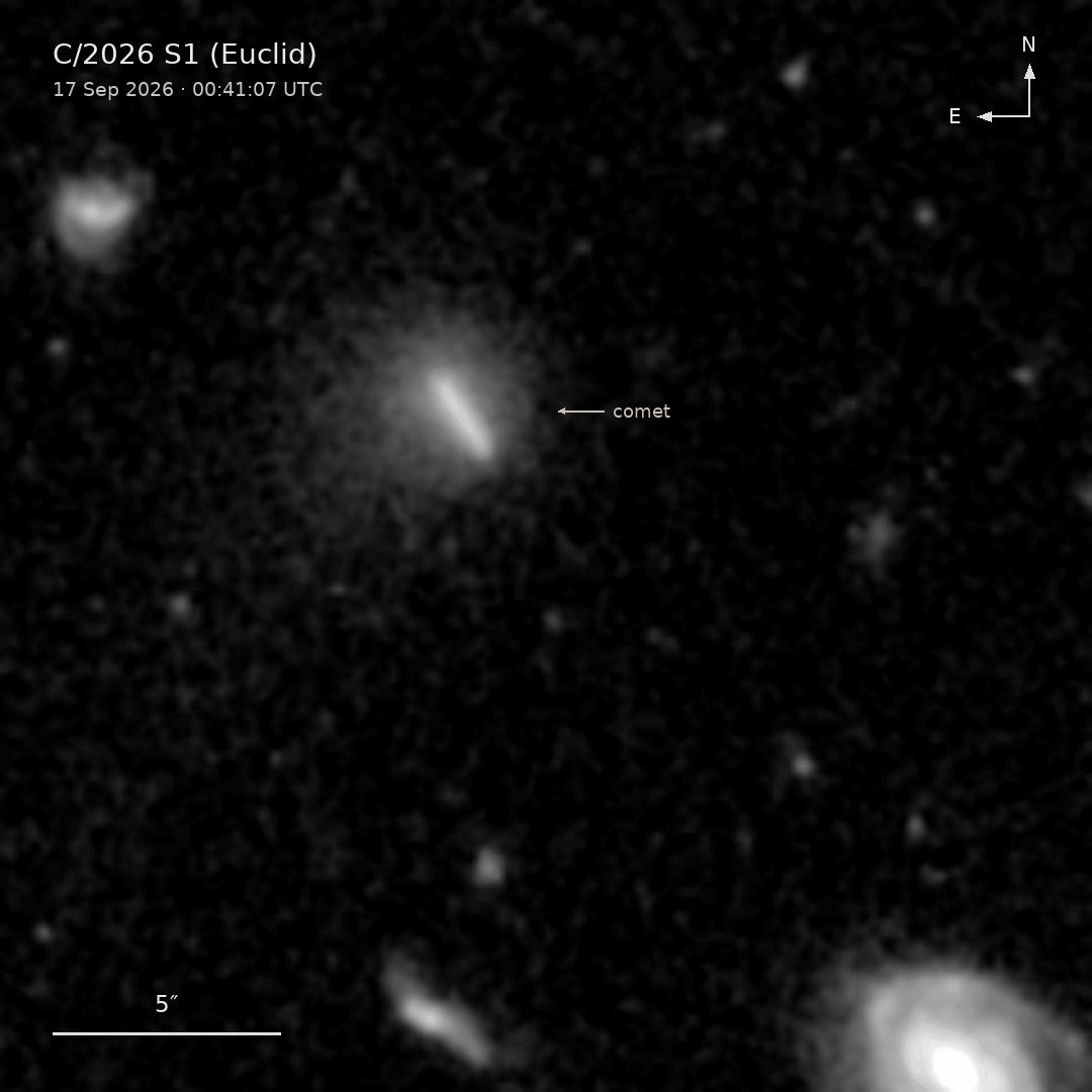 Secuencia de imágenes del cometa C/2026 S1 (Euclid) captadas por la cámara VIS del telescopio espacial Euclid el 17 de septiembre de 2026, durante las observaciones del Euclid Deep Field North. Las imágenes se tomaron a las 00:41:07, 00:58:53 y 01:16:39 UTC, con exposiciones de 560,52 segundos cada una. El cometa aparece como una estela al desplazarse frente a las estrellas y galaxias de fondo. A su alrededor se distingue una nube difusa de gas y polvo, conocida como coma. Secuencia de imágenes del cometa C/2026 S1 (Euclid) captadas por la cámara VIS del telescopio espacial Euclid el 17 de septiembre de 2026, durante las observaciones del Euclid Deep Field North. Las imágenes se tomaron a las 00:41:07, 00:58:53 y 01:16:39 UTC, con exposiciones de 560,52 segundos cada una. El cometa aparece como una estela al desplazarse frente a las estrellas y galaxias de fondo. A su alrededor se distingue una nube difusa de gas y polvo, conocida como coma. Crédito: ESA/Euclid/Euclid Consortium/NASA, M. Pöntinen et al. 2026