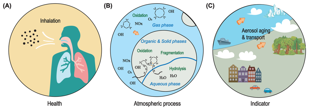 Implicaciones de los metilsiloxanos de gran tamaño molecular en las partículas atmosféricas. (a) Salud; (b) procesos atmosféricos; (c) indicador.