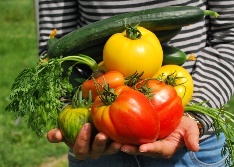 Verduras de la huerta Verduras de la huerta