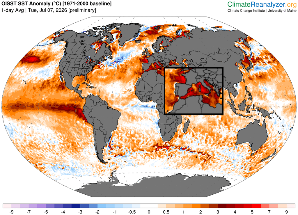 Anomalías globales de la temperatura superficial del agua del mar con anomalías frías/cálidas en tonalidades azules/rojas, realzando la zona de los mares que rodea a la Península y Baleares con anomalías muy positivas/cálidas. Climate Reanalyzer.
