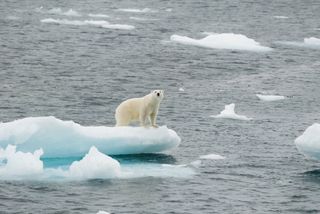Nuevo enfoque sobre las proyecciones del cambio climático