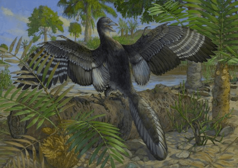 Archaeopteryx