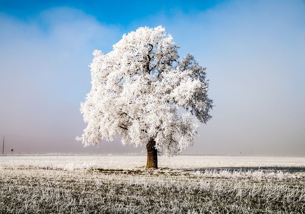 Nuevo frente frío y aire polar-ártico cruzando México