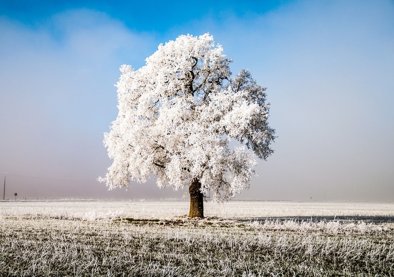 Entre este miércoles 14 y jueves 15 se pronostican zonas de lluvia, viento y ambiente fresco a frío con nieve y heladas.
