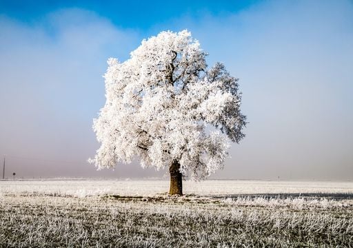 Nuevo frente fr&iacute;o con su masa polar-&aacute;rtica mantendr&aacute;n condiciones invernales hoy mi&eacute;rcoles y ma&ntilde;ana jueves en M&eacute;xico