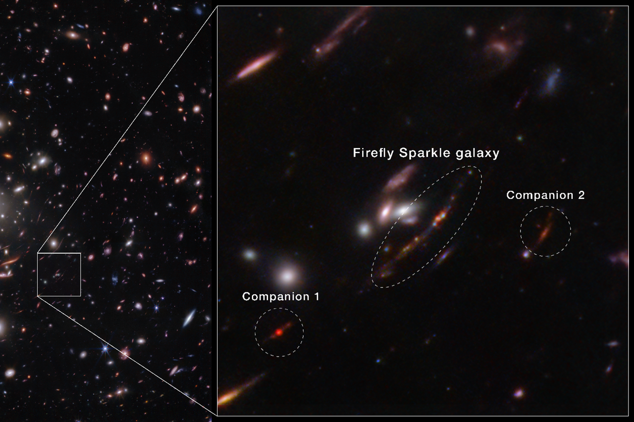 Por primera vez, los astrónomos que utilizan el telescopio espacial James Webb de la NASA han identificado una galaxia, apodada Firefly Sparkle. Crédito: NASA, ESA, CSA, STScI